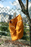 ATTACK SHORT IV