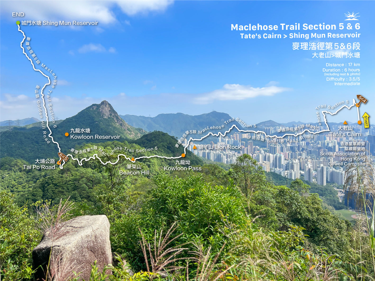 MacLehose Trail Section 5&6 | Tate's Cairn to Shing Mun Reservoir