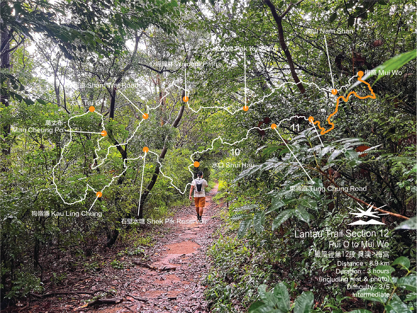 Lantau Trail Section 12 | Pui O to Mui Wo