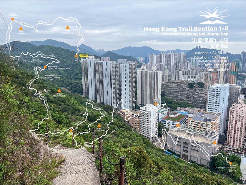 Hong Kong Trail Section 1-4 | The Peak to Wong Nai Chung Road